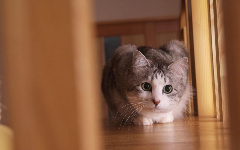 1658798685192866.png 图片1.png