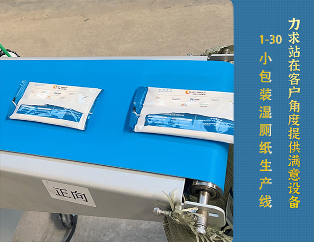 1-30片小包装湿厕纸生产线