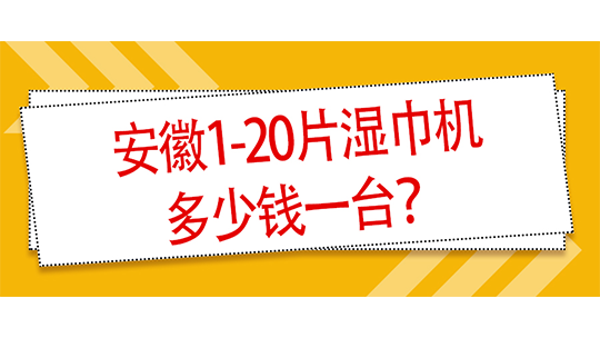 安徽1-20片湿巾机多少钱一台？