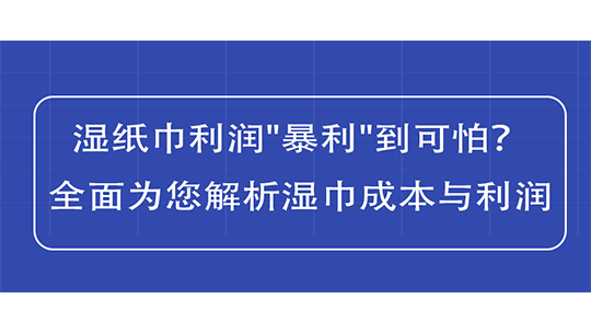 湿纸巾利润
