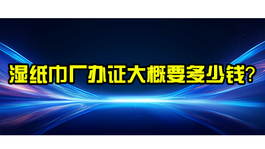 湿纸巾厂办证大概要多少钱？