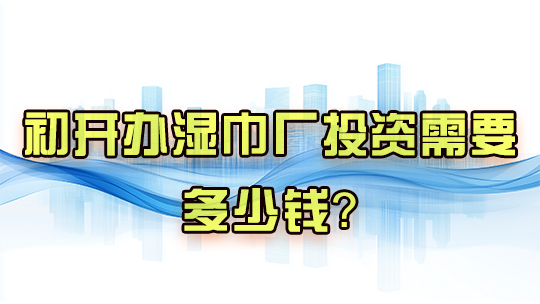 初开办湿巾厂投资需要多少钱? 初开办湿巾厂投资需要多少钱?
