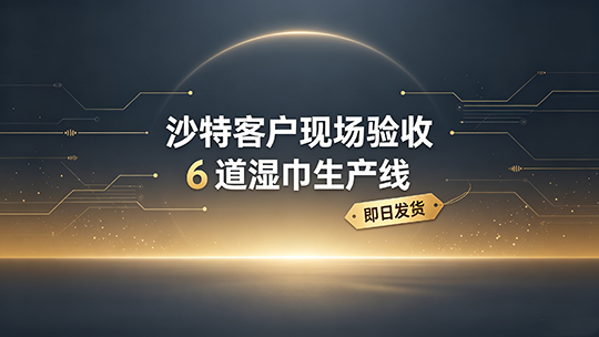沙特客户现场验收 6 道湿巾生产线，即日发货